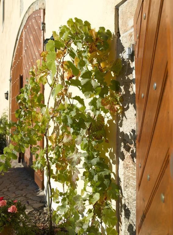 Gastehaus Im Weingut Schloss Proschwitz 호텔 Meißen 외부 사진